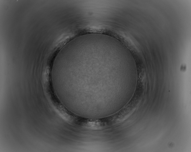 X0000101140744200807071125