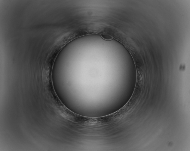 X0000101140745200807071125