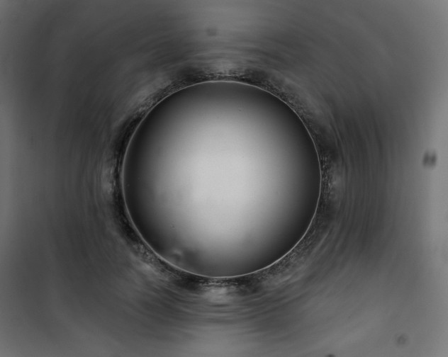 X0000101140746200807071125