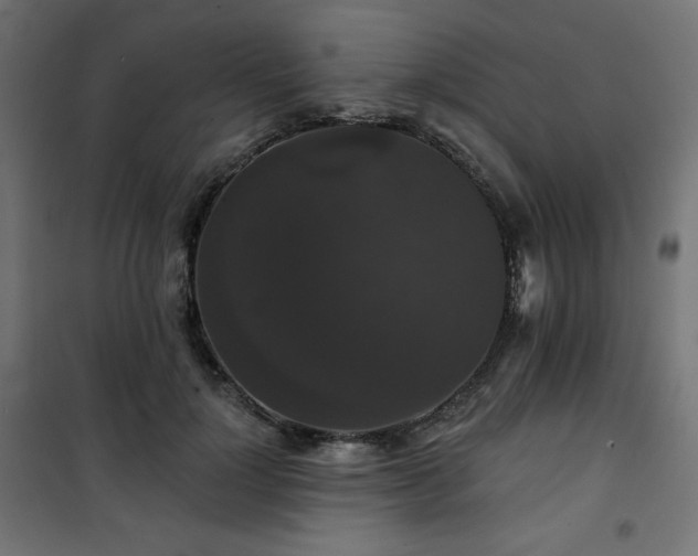 X0000101140748200807071126