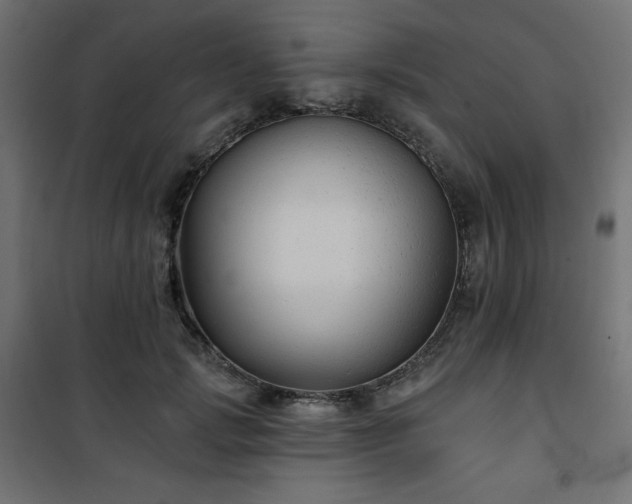 X0000101140749200807071126