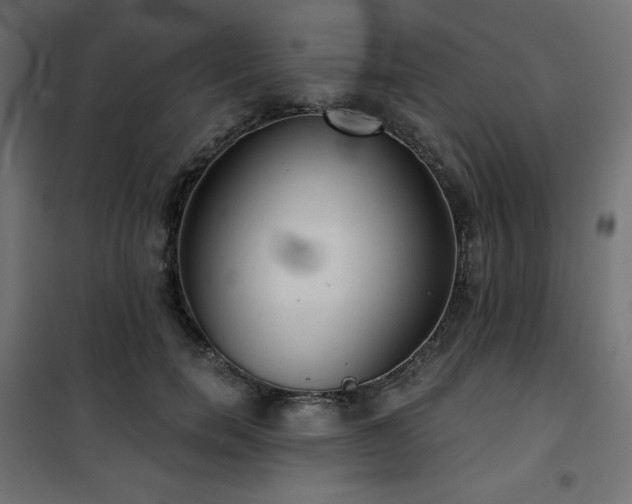 X0000101140750200807071126