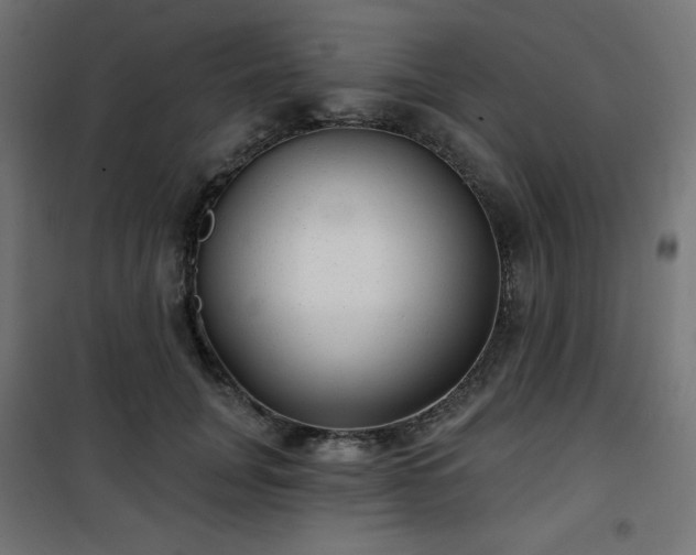 X0000101140751200807071126