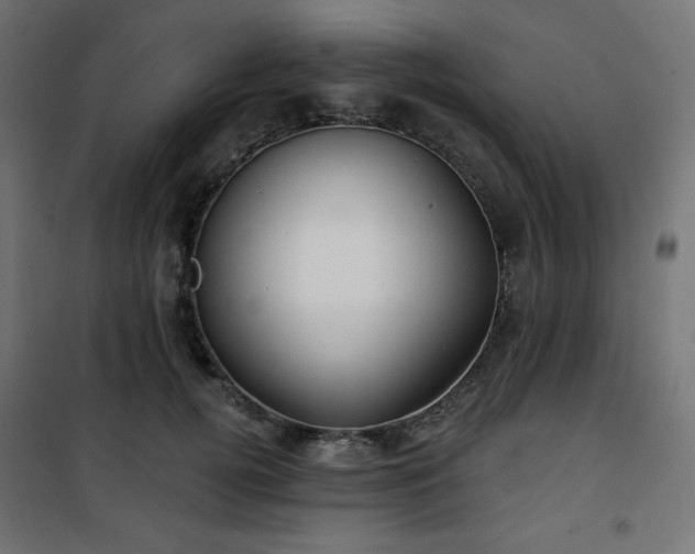 X0000101140752200807071126