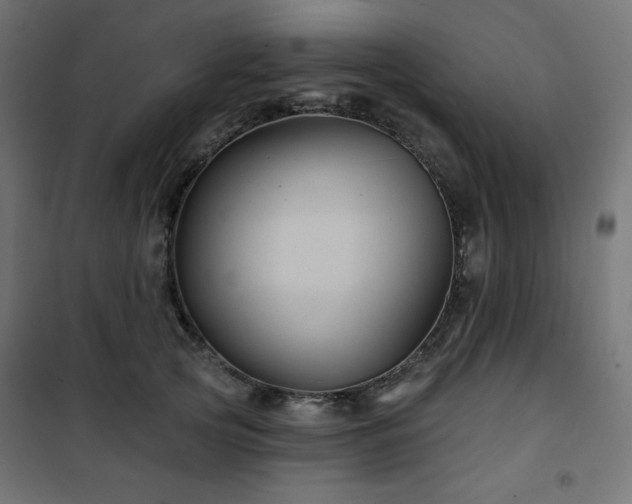 X0000101140753200807071126