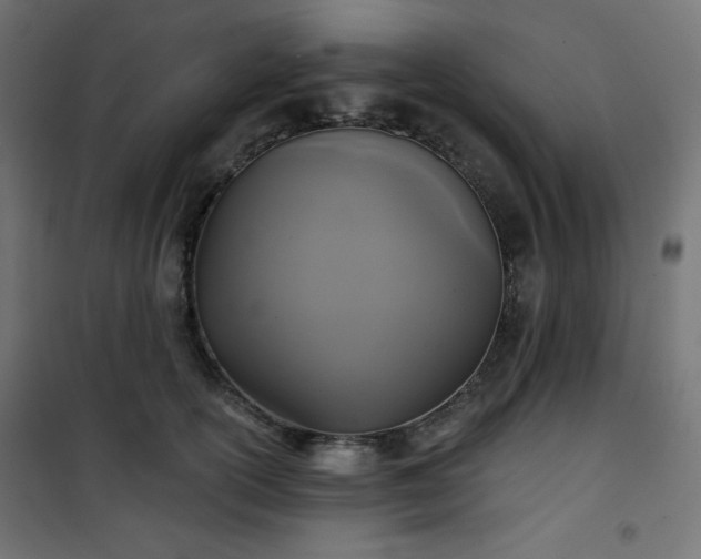 X0000101140754200807071126