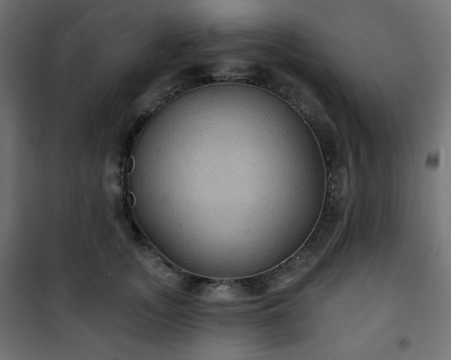 X0000101140755200807071126