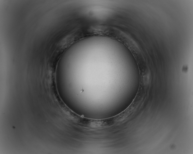 X0000101140757200807071126