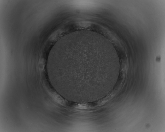 X0000101140758200807071126