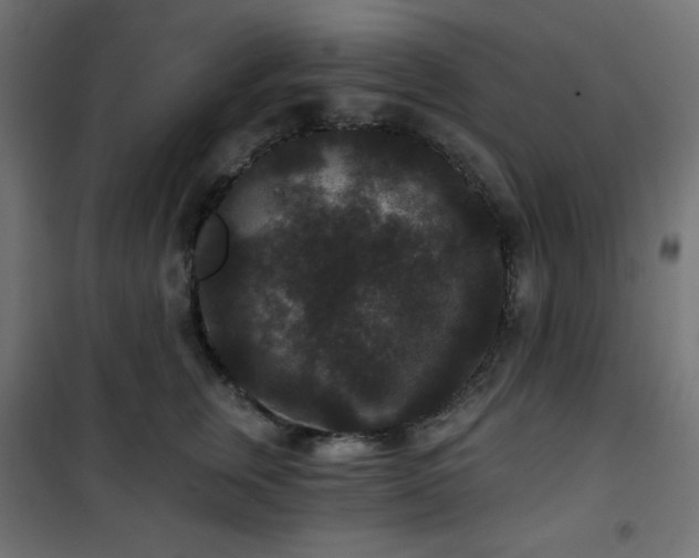 X0000101140759200807071126