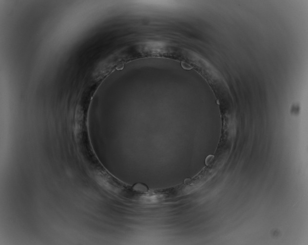 X0000101140760200807071126