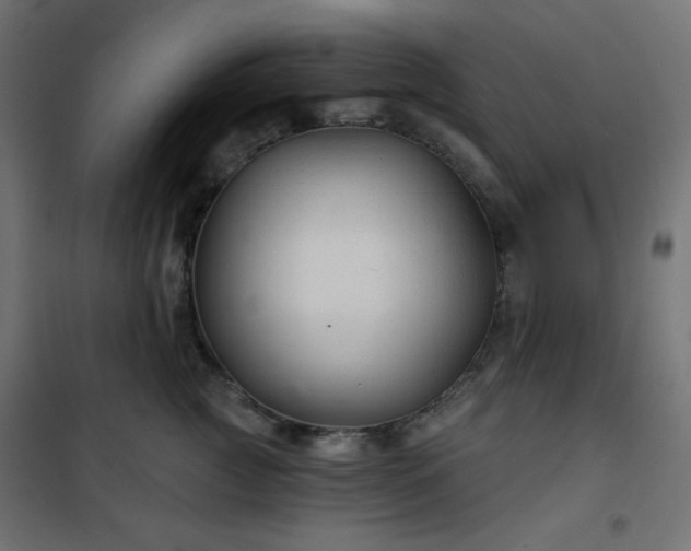 X0000101140761200807071126