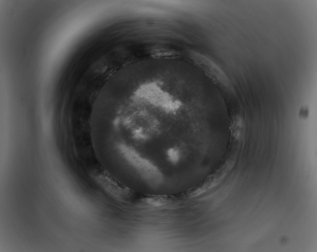 X0000101140763200807071126