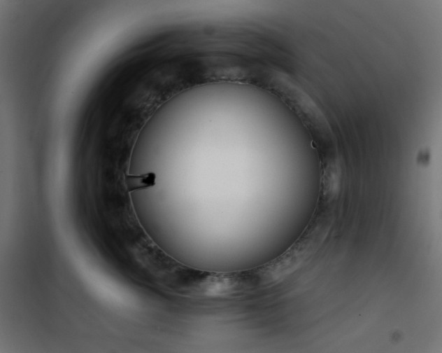 X0000101140764200807071126