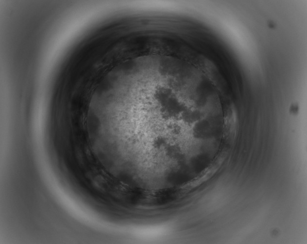 X0000101140765200807071126