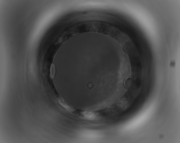 X0000101140766200807071126