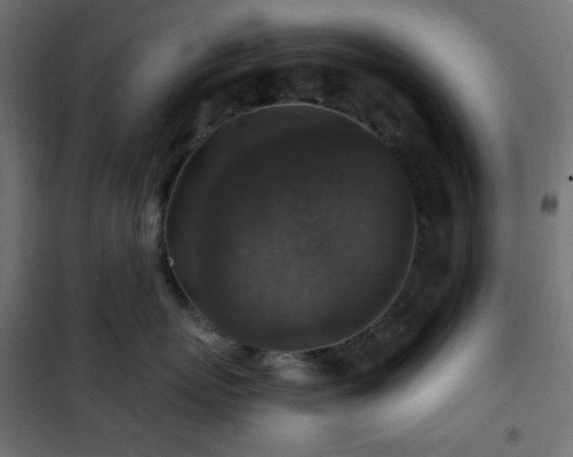 X0000101140767200807071126