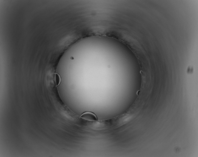 X0000101140768200807071126