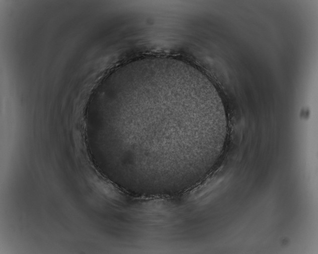 X0000101140769200807071125