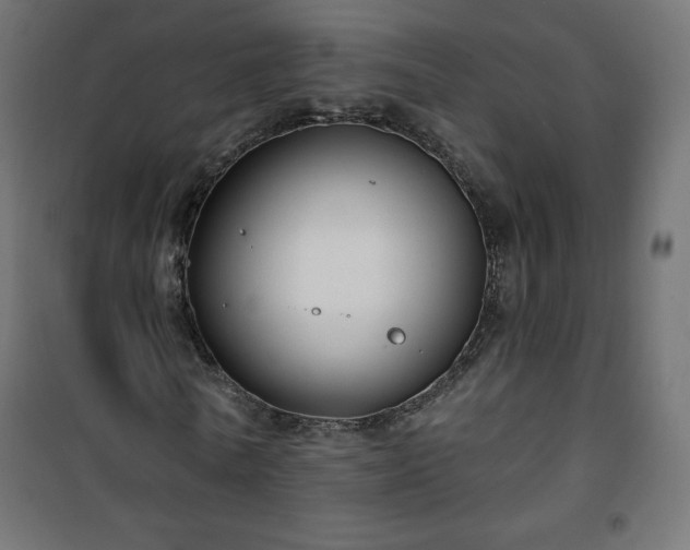 X0000101140770200807071125