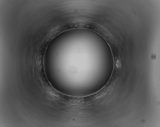 X0000101140771200807071125