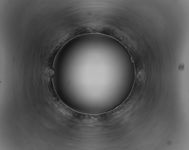 X0000101140772200807071125