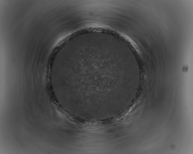 X0000101140775200807071125