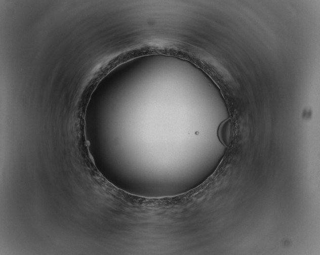 X0000101140776200807071125