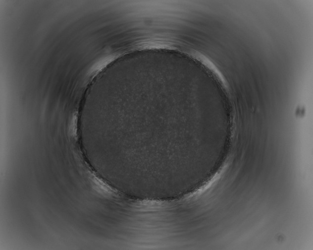 X0000101140777200807071125