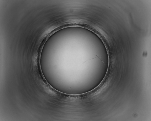 X0000101140778200807071125