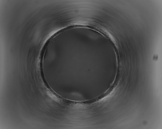 X0000101140779200807071125