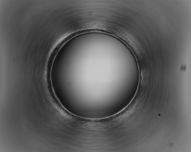 X0000101140780200807071125