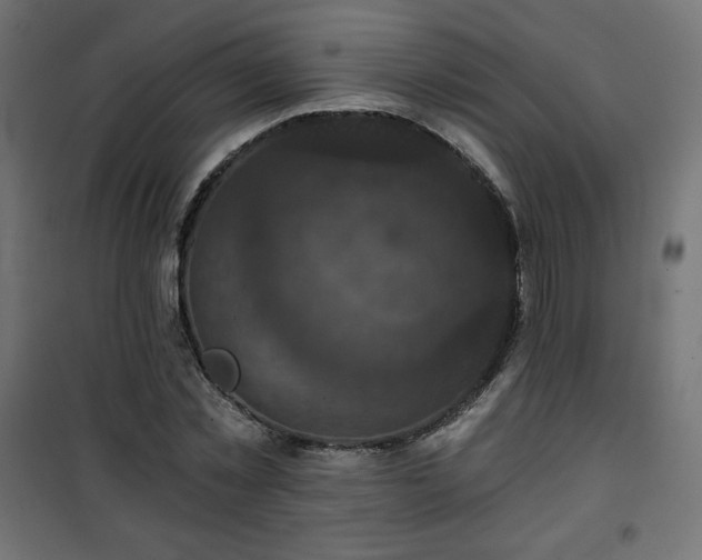 X0000101140781200807071125