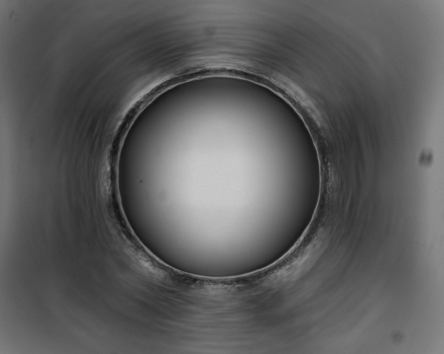 X0000101140782200807071125