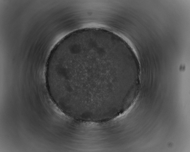 X0000101140783200807071125