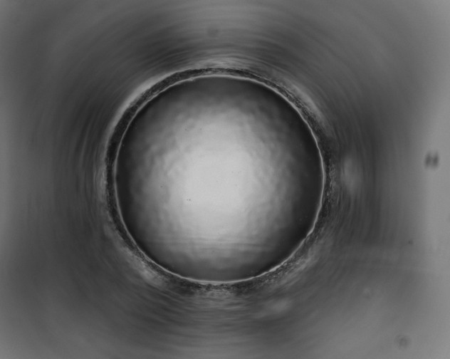 X0000101140784200807071125