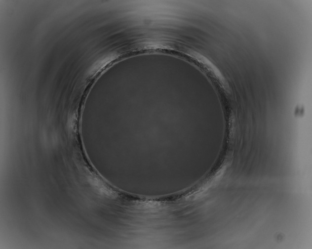 X0000101140785200807071125