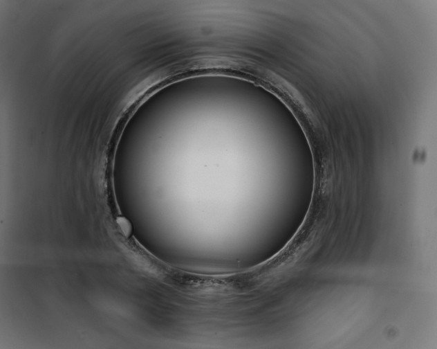 X0000101140786200807071125