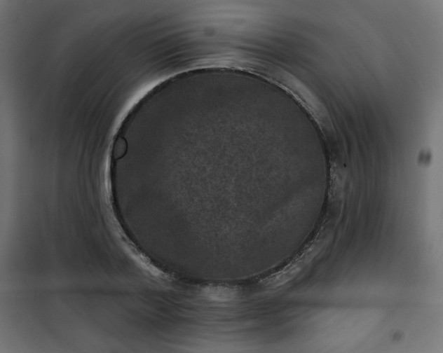 X0000101140788200807071125