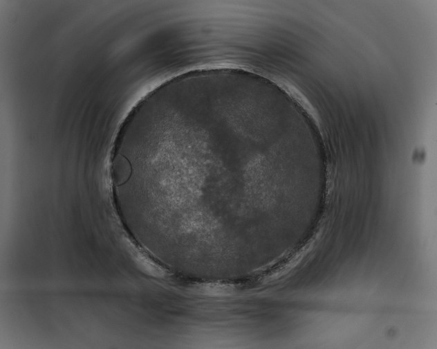 X0000101140789200807071125