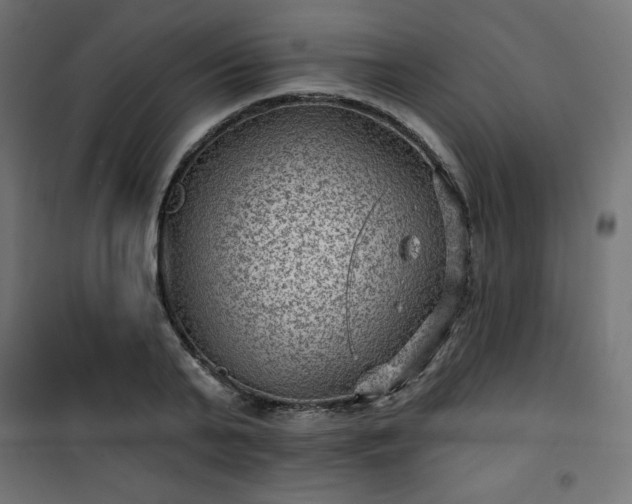 X0000101140791200807071125