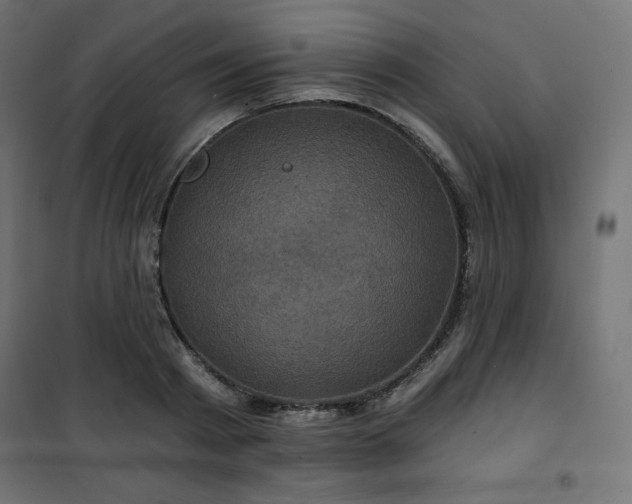 X0000101140793200807071125