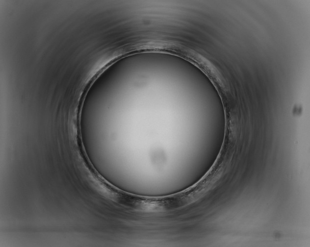 X0000101140794200807071125