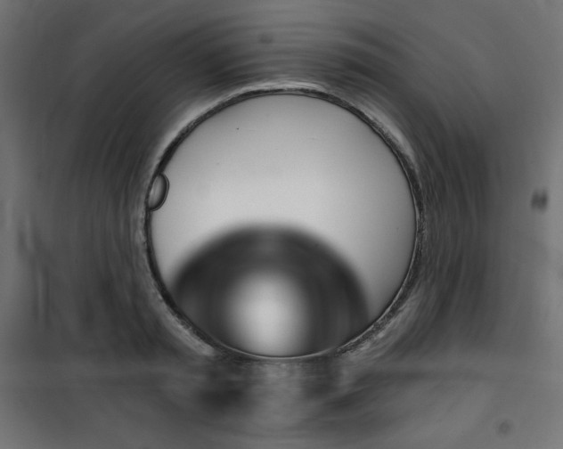 X0000101140797200807071125