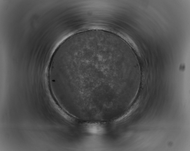 X0000101140798200807071125