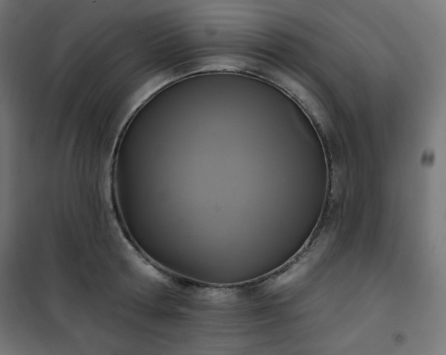 X0000101140802200807071124