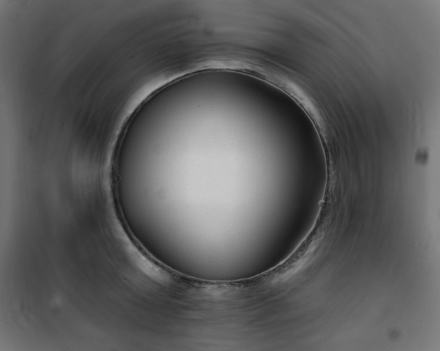 X0000101140803200807071124