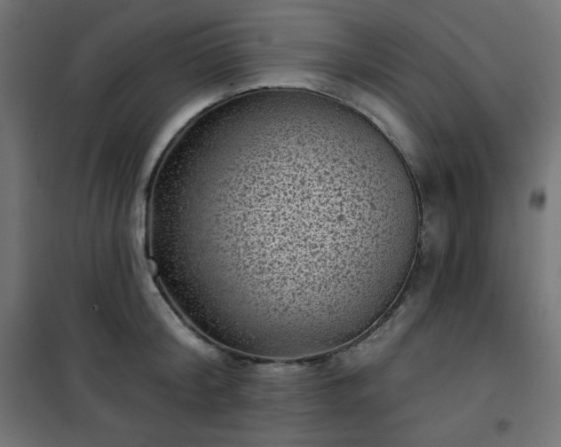 X0000101140804200807071124