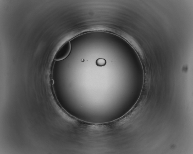 X0000101140805200807071124