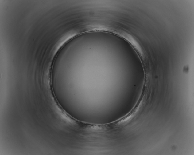 X0000101140806200807071124